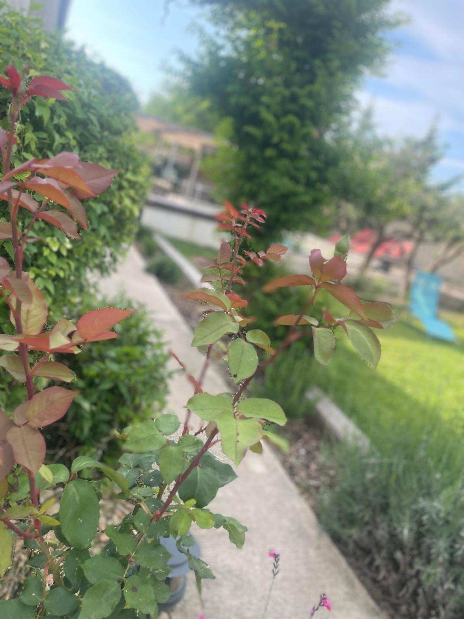 Villa Le Luberon Mérindol エクステリア 写真